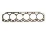 Прокладка головки циліндра REINZ VICTOR REINZ 61-35880-00 (фото 1)