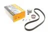 Комплект ГРМ Audi A3/A4/VW Golf V/Touran 2.0 FSI 03-08 (23x145z) Contitech CT1056K1