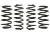 Комплект занижених пружин EIBACH E10-15-011-01-22 (фото 1)