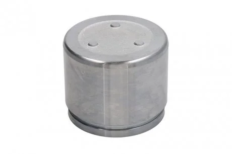 Елементи гальмівного супорта (Поршень) (SEIN) AUTOFREN D0-25534