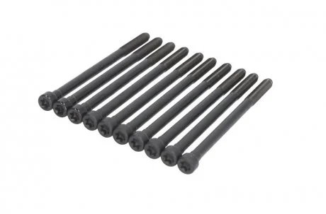 Комплект болтів (10 шт), головка циліндра VICTOR REINZ 14-10276-01