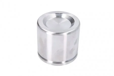 Елементи гальмівного супорта (Поршень) (SEIN) AUTOFREN D0-25666