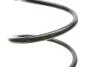 Пружина (задня) Citroen C3 1.1i/1.4-1.6 16V/1.4-1.6HDi 02- (хэтчбэк) (без здвиг.панелі даху) LESJOFORS 4215602 (фото 2)