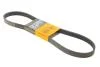 Ремінь генератора Citroen C3/C4/Peugeot 307 1.4-1.6HDi 02- Contitech 6PK1090 ELAST (фото 1)