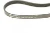 Ремень генератора Volvo S40/S60/S80/V40/V60/V70/XC60/XC70 00- (5PK1121) Contitech 5PK1121 EXTRA (фото 3)