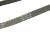 Ремінь генератора Citroen Jumpy/Peugeot Expert 2.0 BlueHDi 16- Contitech 6PK1073 EXTRA (фото 4)