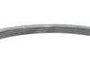 Ремінь генератора Fiat Croma 2.4D 05-/Alfa Romeo 159 2.4JTM 05-11 Contitech 5PK595 ELAST (фото 4)