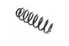 Пружина підвіски KYB RA6166 (фото 3)