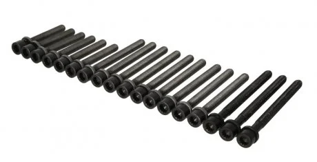 Комплект болтів головки циліндра ELRING 804.860