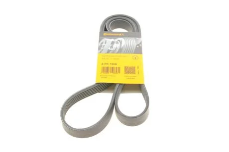 Ремінь генератора Ford Transit 2.3 16V 00-06 (RWD) Contitech 6PK1955