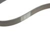 Ремінь генератора BMW 3 (F30/F80)/5 (F10)/ X5 (F15/F85)/ X6 (F16/F86) 13- (S55) Contitech 8PK1395 (фото 5)