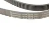 Ремень генератора Jeep Cherokee/Liberty 2.5CRD/2.8 CRD 01- Contitech 6PK2870 (фото 4)