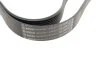 Ремінь генератора MB Atego (OM906/OM904) 98- (8PK2011) BOSCH 1 987 947 077 (фото 3)