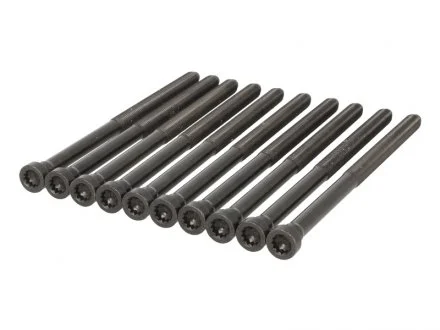 Болти головки (к-кт 10шт.) VW Caddy IV 2.0 TDI 15- ELRING 351.900