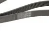 Ремінь генератора поліклиновий CONTINENTAL Contitech 7PK1260 (фото 4)