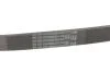 Ремінь генератора поліклиновий CONTINENTAL Contitech 5PK805 (фото 5)