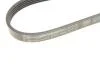 Ремінь генератора VW Beetle/Jetta 2.5 10- Contitech 5PK934 (фото 4)
