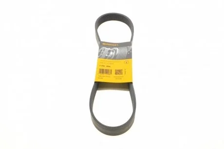 Поліклиновий ремінь Contitech 7PK880