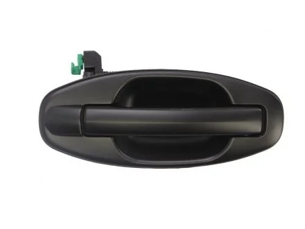 Ручка дверей задн Прав (зовнішн, під фарбування) HYUNDAI SANTA FÉ 02.01-03.06 BLIC 6010-20-021404P