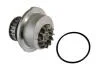 Насос охолоджуючої рідини, з ущільненням OPEL ASCONA B, ASCONA C, CORSA A, CORSA A TR, CORSA A/HATCHBACK, KADETT D, KADETT E, KADETT E COMBO, KADETT E/KOMBI, MANTA B 1.3 03.79-02.93 THERMOTEC D1X009TT (фото 1)