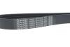 Ремінь DAYCO 8PK1226 (фото 4)