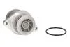 Насос охолоджуючої рідини, з ущільненням AUDI A2 SEAT LEON VW BORA, BORA I, GOLF IV, LUPO I, POLO, POLO III 1.6 09.98-06.06 THERMOTEC D1W044TT (фото 1)