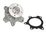 Насос охолоджуючої рідини, з ущільненням MINI (R50, R53) TOYOTA AURIS, COROLLA, YARIS 1.3/1.4D 09.02-12.18 THERMOTEC D12093TT (фото 1)