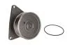 Насос охолоджуючої рідини CUMMINS 6C ISC, AGCO R42, R62 CASE IH 1660, 210, 230, 220, 240, 255, 270, 285 JOHN DEERE 753G, 753GL MASSEY FERGUSON 9240 WHITE 8510, 8610, 8710, 8810 THERMOTEC WP-CM102 (фото 1)