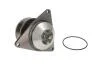 Насос охолоджуючої рідини CUMMINS 6C ISC, AGCO R42, R62 CASE IH 1660, 210, 230, 220, 240, 255, 270, 285 JOHN DEERE 753G, 753GL MASSEY FERGUSON 9240 WHITE 8510, 8610, 8710, 8810 THERMOTEC WP-CM102 (фото 2)