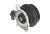 Насос охолоджуючої рідини AUDI A1 SEAT ALHAMBRA, IBIZA IV, IBIZA IV SC, IBIZA IV ST SKODA FABIA II VW BEETLE, CC B7, EOS, GOLF PLUS V, GOLF V, GOLF VI, JETTA III 1.4/1.4CNG 11.05-07.18 THERMOTEC D1W064TT (фото 2)