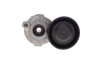 Натяжник ремня генератора Renault Kangoo/Megane/Scenic 1.2 TCe12- INA 534 0590 10 (фото 7)