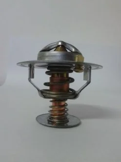 Термостат системи охолодження (з клапаном) CASE IH 500, 5000 MAXXUM, CX, MX 1004-40T-G4,0T THERMOTEC D2CA002TT