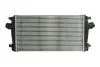 Інтеркулер THERMOTEC DAX013TT (фото 1)