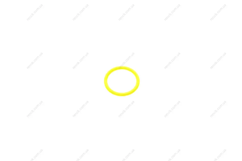 Прокладка термостата EGR 3 (E36/E46)/5 (E60/E61) (19x2.5mm) (кільце) BMW 11 53 2 248 435 (фото 1)