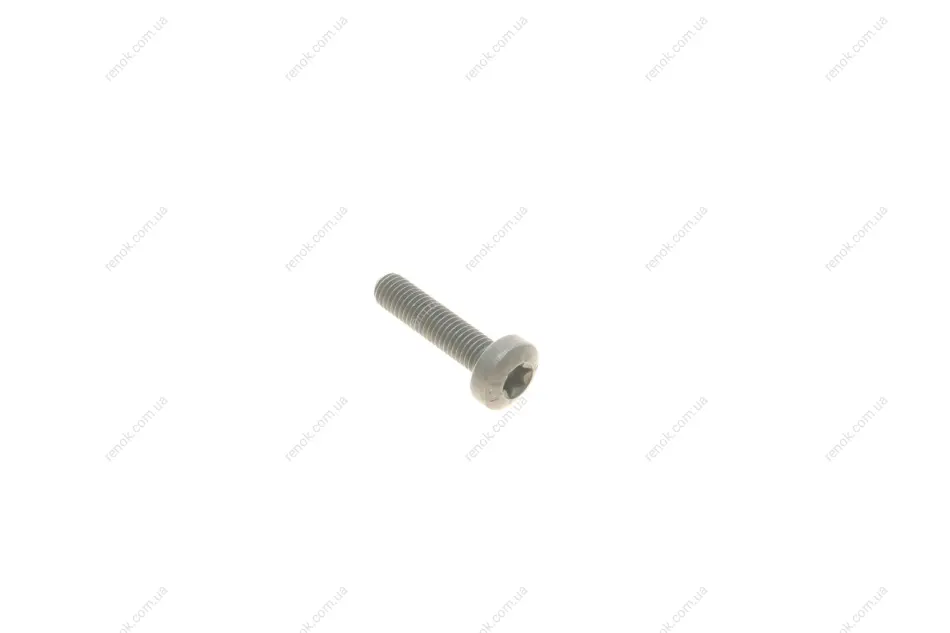 Болт шестерні оливного насосу, 1.6/2.0/3.0D 04- (M8X35mm) BMW 11 41 7 807 350 (фото 1)