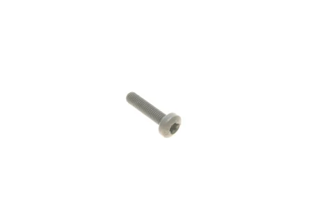 Болт шестерні оливного насосу, 1.6/2.0/3.0D 04- (M8X35mm) BMW 11 41 7 807 350
