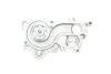 Насос охолоджуючої рідини, з ущільненням SEAT IBIZA IV, IBIZA IV SC, IBIZA IV ST, IBIZA V, MII SKODA CITIGO, FABIA III, FABIA III PRAKTIK VW ARTEON 1.0/1.0CNG/1.4H 08.11- HEPU P674 (фото 7)