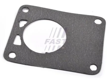 Прокладка вакуумного насоса Fiat Ducato (02-) FAST FT49901
