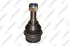 VW Шаровая опора верх.рычага лев./прав.T4 90- TEKNOROT V-704 (фото 1)