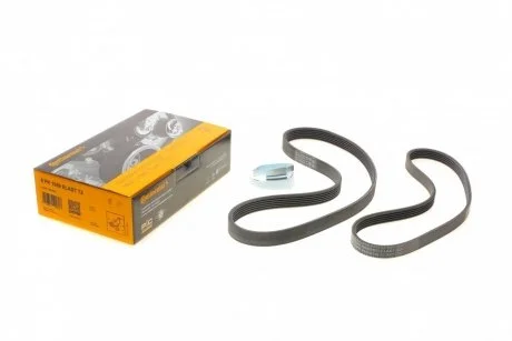 Ремень генератора Ford Focus 1.4/1.6i 03-/Volvo C30/S40/V50 1.6 05-12 (6PK1059 ELAST+5PK868 ELAST) Contitech 6PK1059 ELAST T2