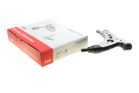 Важіль підвіски (передній/знизу) Seat Cordoba 02-06/Skoda Fabia/VW Polo 1.0-2.0 99-14 FAG 821 0066 10