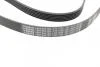 Ремінь генератора BMW 3 (E90) 3.2D 07-11 (6PK1780) N47 D20 BOSCH 1987945733 (фото 2)
