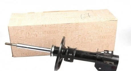 Амортизатор (передній) Master 10- RWD RENAULT 543029025R