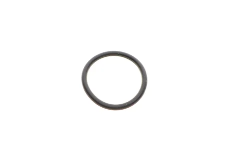 Уплотнительное кольцо 3 (E90/E92/E93)/5 (F10/F11//F07)/X5 (F15) 05-13 N47 (36x3.4) BMW 11128510539