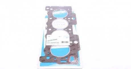 Прокладка, головка циліндра REINZ VICTOR REINZ 61-35060-00