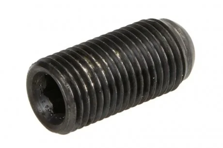 Болт регулюючий (зовнішній діаметр: 1,25) VW CALIFORNIA T5 CAMPER, POLO IV, TOURAN 1.9D/2.0D/2.5D 09.02- ENGITECH ENT280110