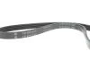 Ремінь генератора Hyundai Accent 1.4-1.6 95-10/Kia Cerato 1.6 04-/Rio II 1.4/1.6 05- INA FB 4PK815 (фото 4)