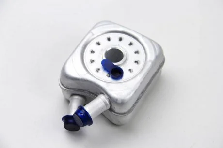 Радіатор масла 2.5TDI LT 96-06/T4 98-03/Crafter 06- (під фільтр) BSG BSG 90-506-003