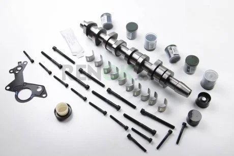 Розподільний вал (комплект) Caddy/T5 1.9TDI 04- (BSU,BLS) / 2.0TDI (BMM) BGA CS9503SFK