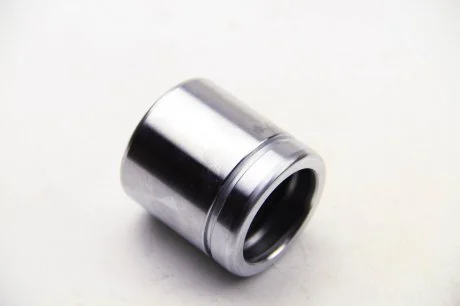 Поршенек суппорта перед Logan/Sandero 12- 48x50,55 SEINSA AUTOFREN D025604